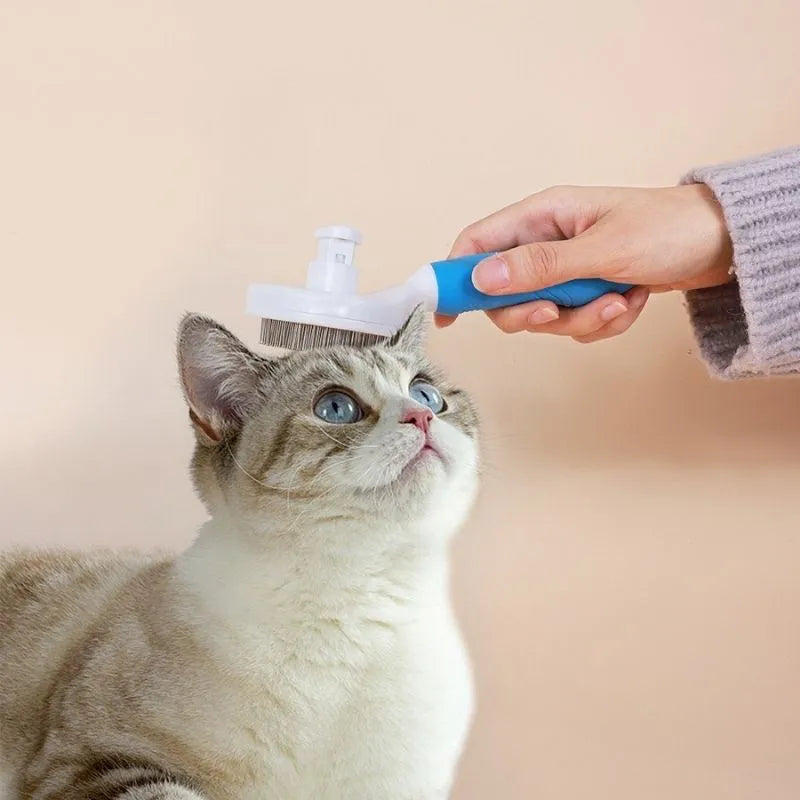 Escova Clean Pet Removedora Tira Pelos Dos Cães E Gatos Promoções